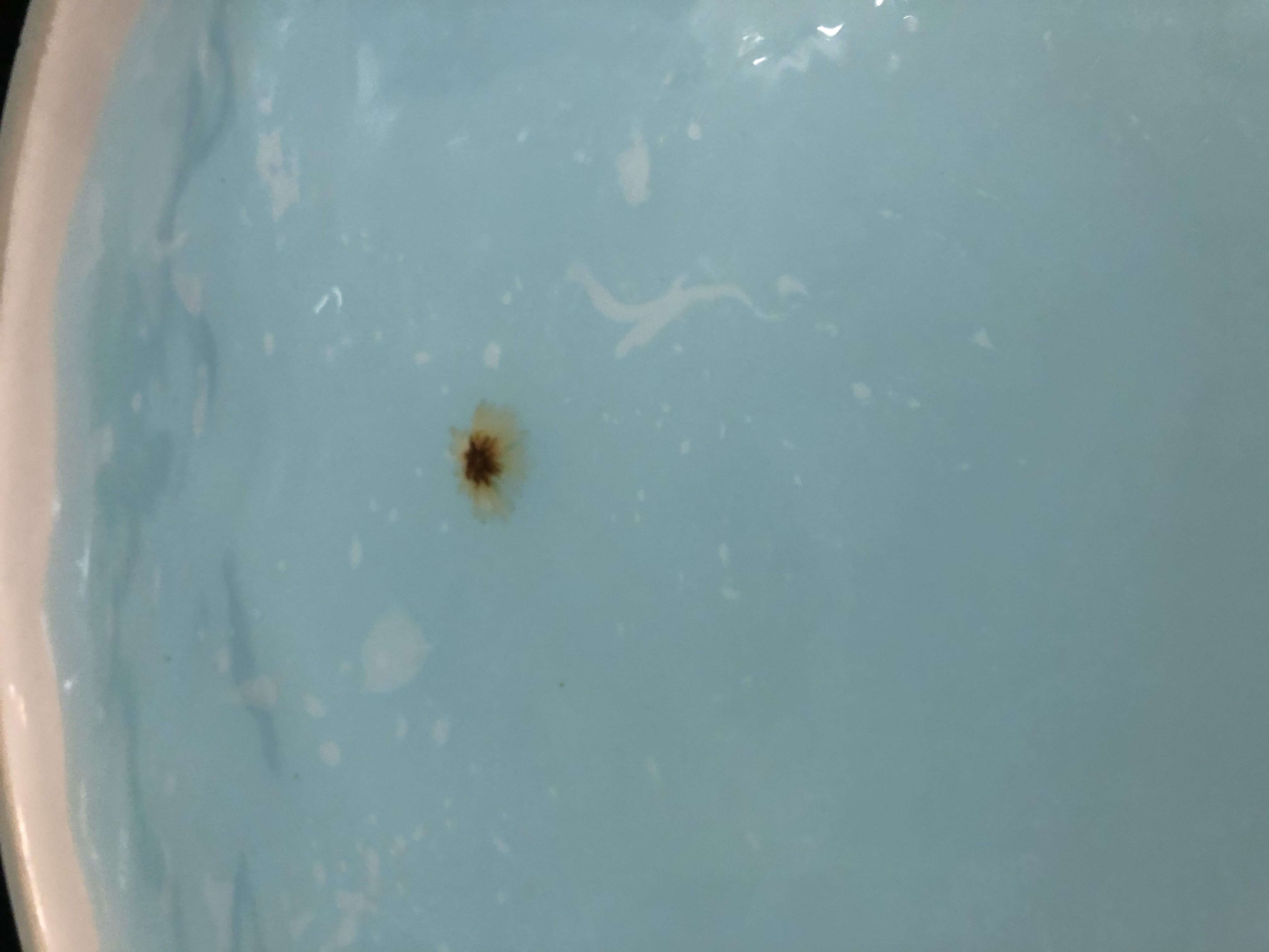 ûʡݸ˼٣ڹݾƵνͷ֮