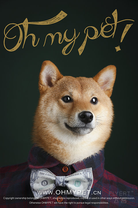 131541IXSTYCFMLLPTCZSB.png