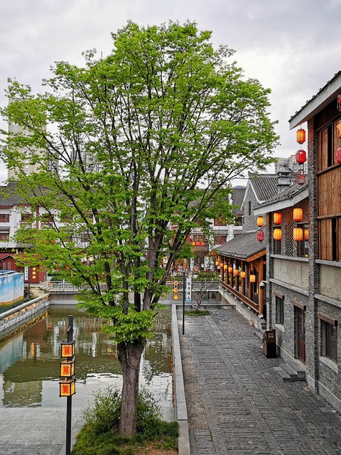 旅行不止，不止旅行--毕节福朋喜来登行政套房体验