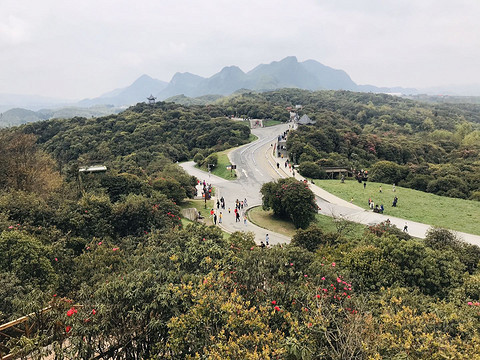旅行不止，不止旅行--毕节福朋喜来登行政套房体验