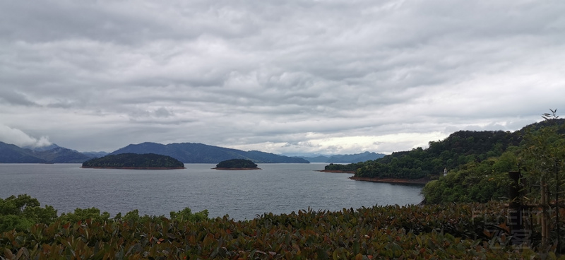 IMG_20200419_141849.jpg