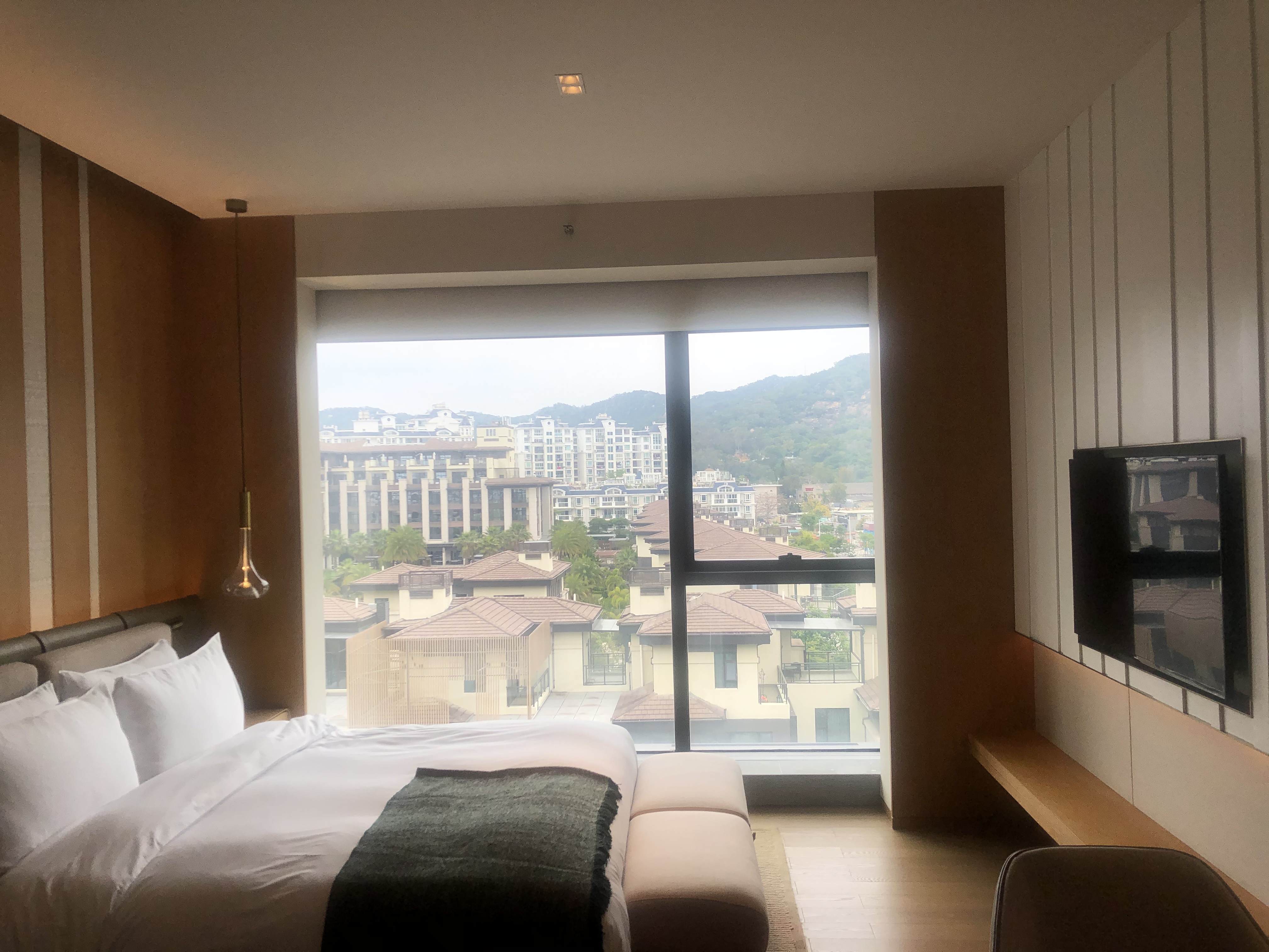 ԶCurio Suite