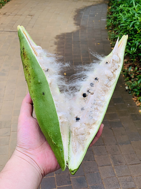 打卡 三亚瑰丽酒店
