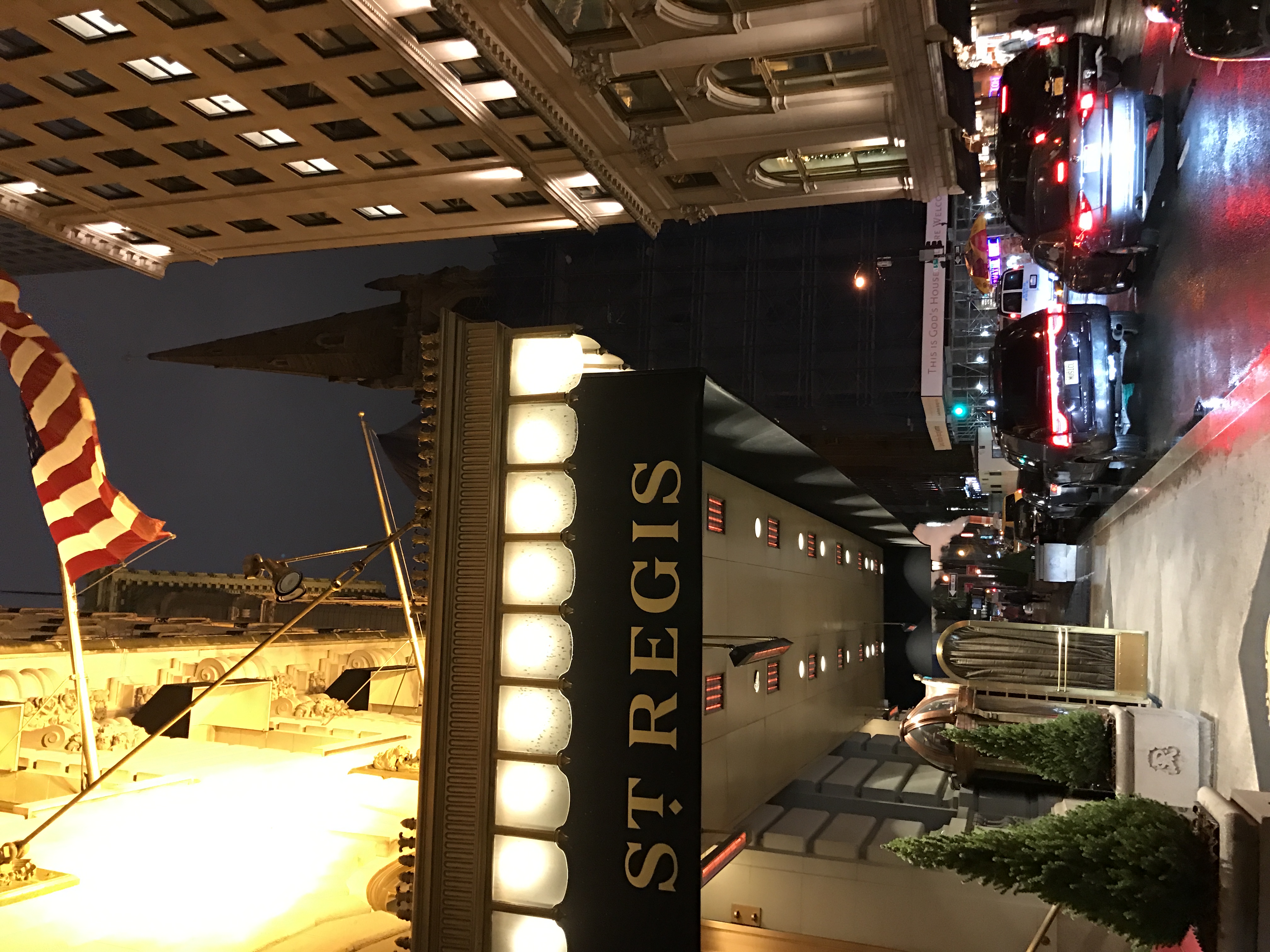 һ ддϵһ𼪾Ƶ-The St. Regis New York