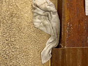 ûбõ޼˰ <em>޼</em>