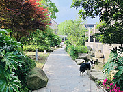 顿һ<em>ï</em>Ƶ