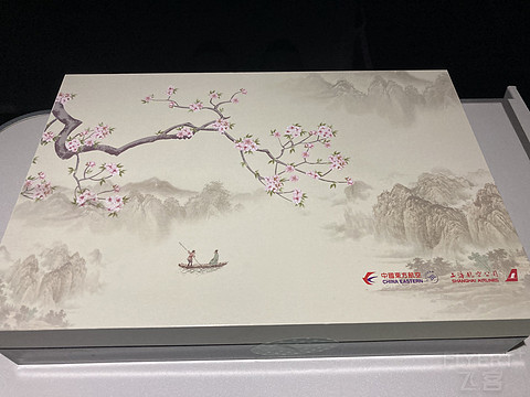 青岛流亭-北京大兴-成都双流 东航大兴中转航班体验