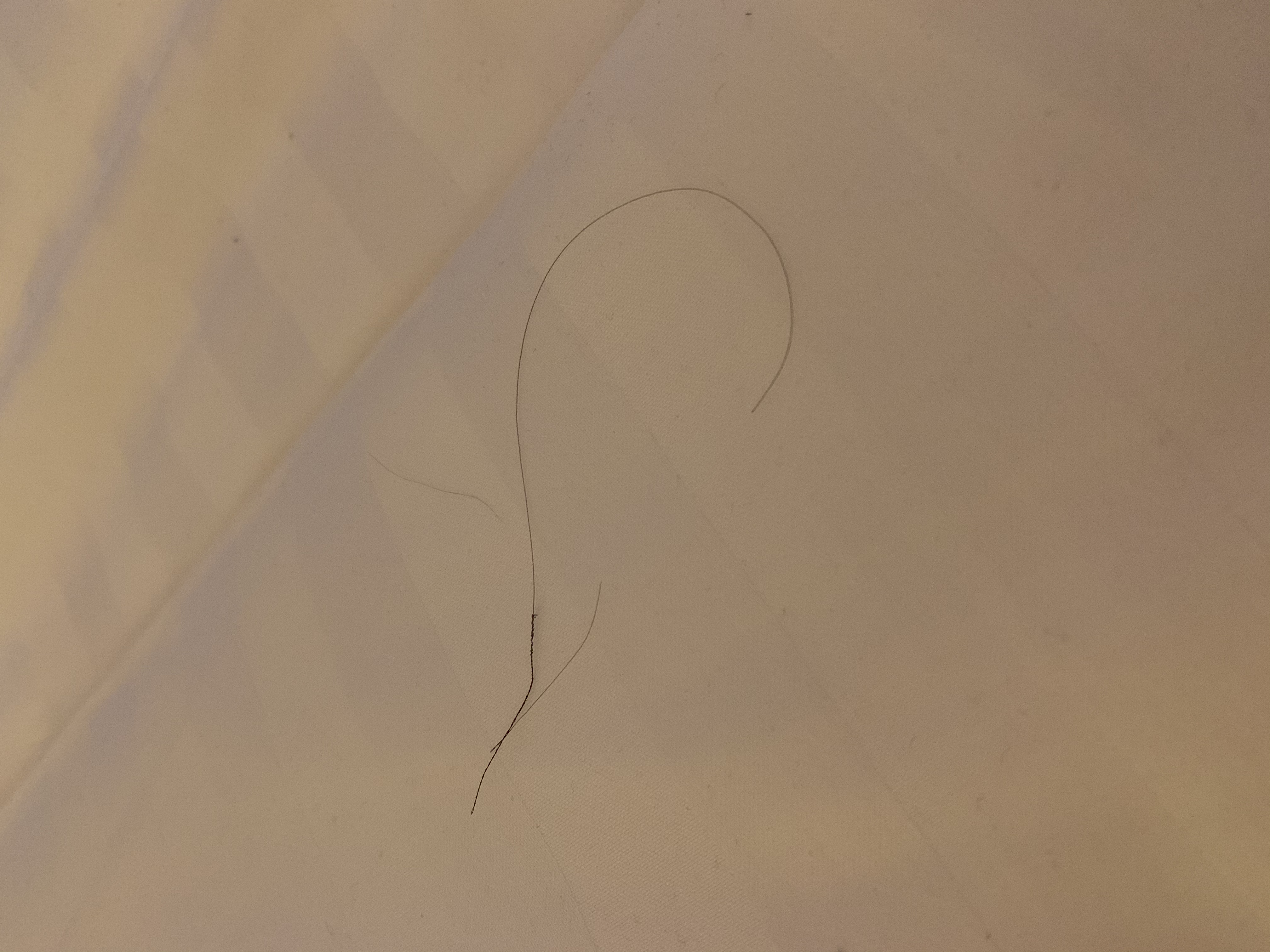 ޵۱