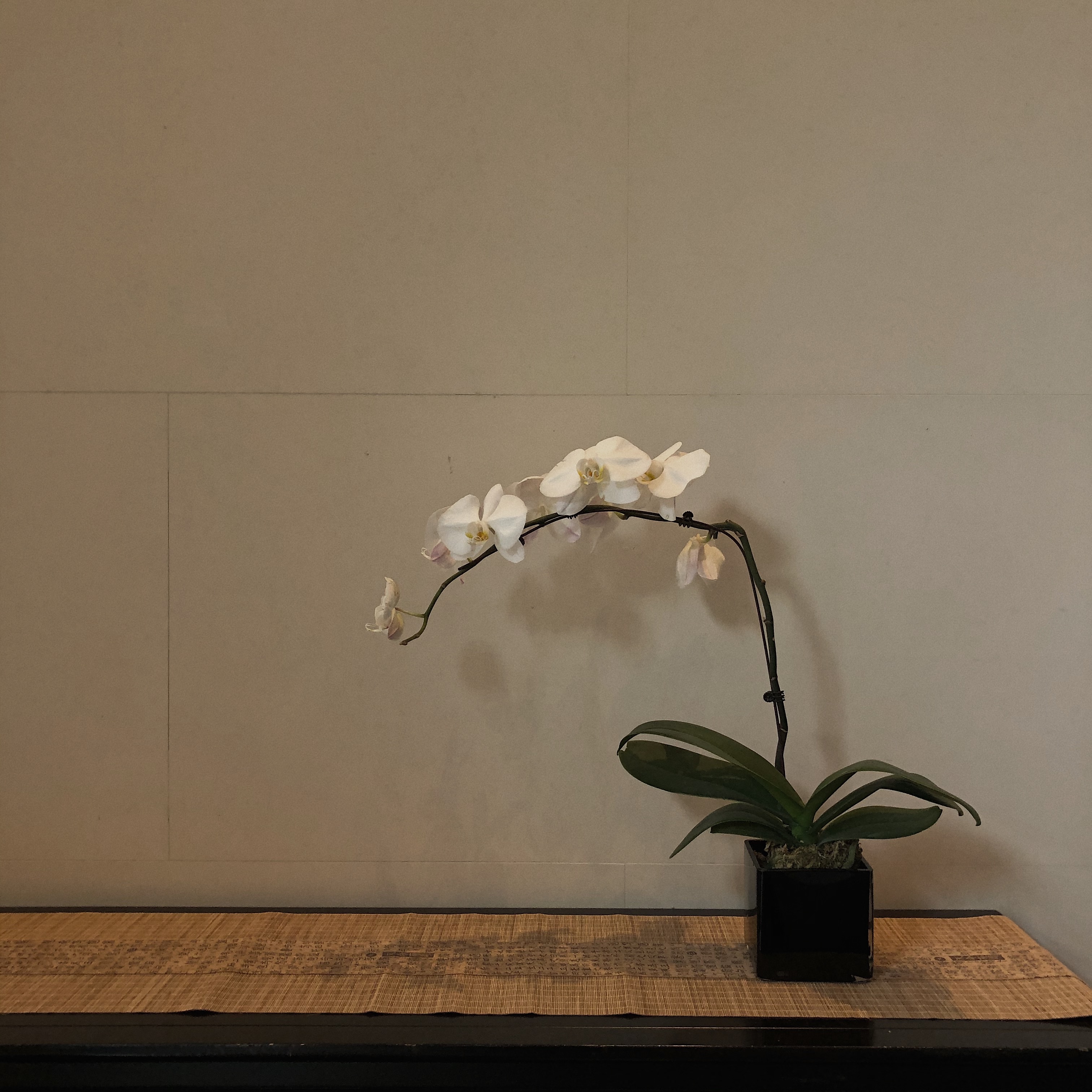 ƵreportþƵ Park Hyatt Ningbo