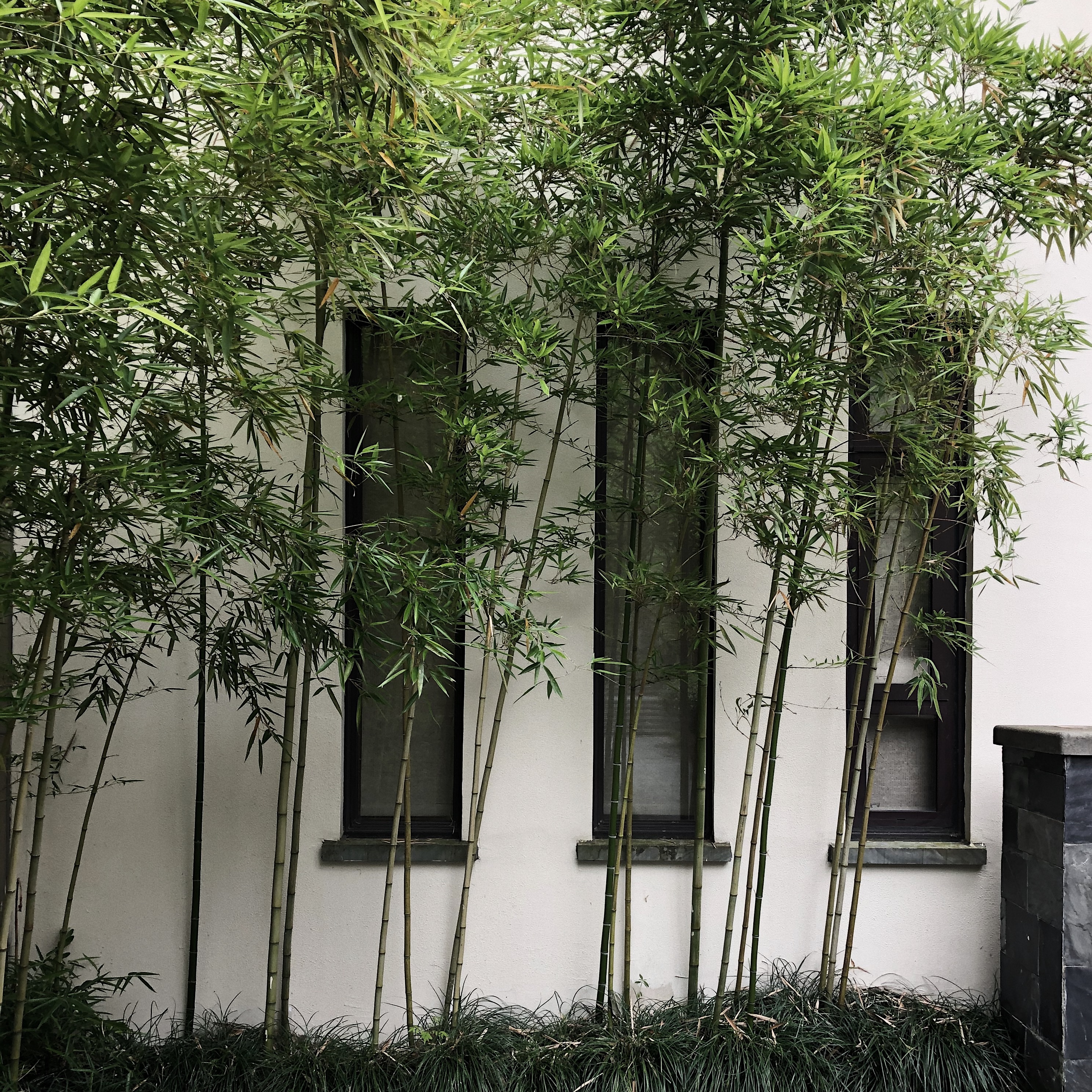 ƵreportþƵ Park Hyatt Ningbo