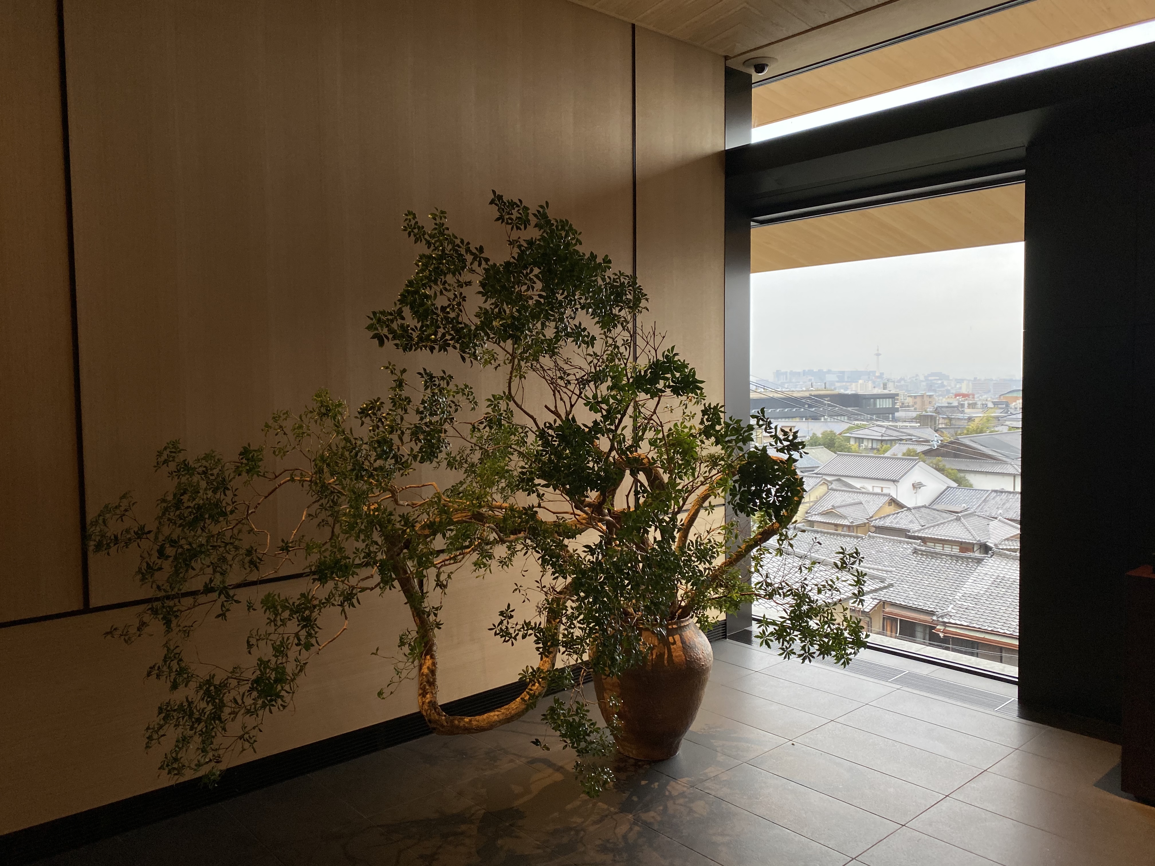  Park Hyatt Kyoto