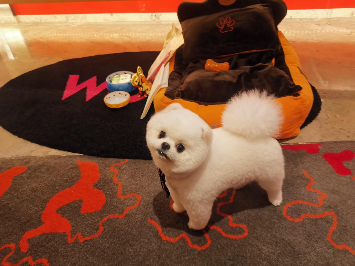 ·ɡϺ̲W