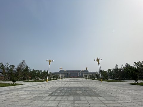 白流苏之行 青州北-烟台南