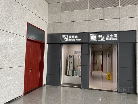 白流苏之行 青州北-烟台南