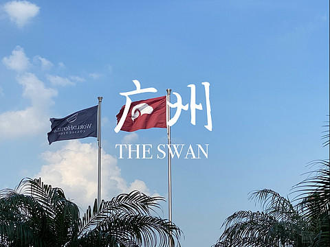 The Swan - ݰ