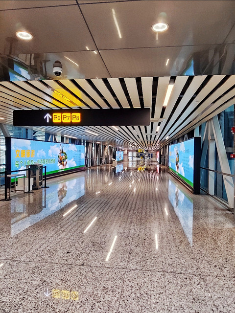 【面疫直行归家路，天涯咫尺伴明珠】南方航空：LAX～CAN明珠商务舱飞行体验