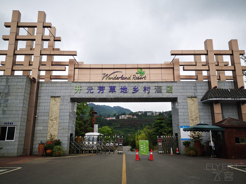IMG_20200628_114937.jpg