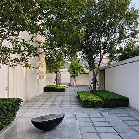「短评」乌镇阿丽拉 Alila Wuzhen