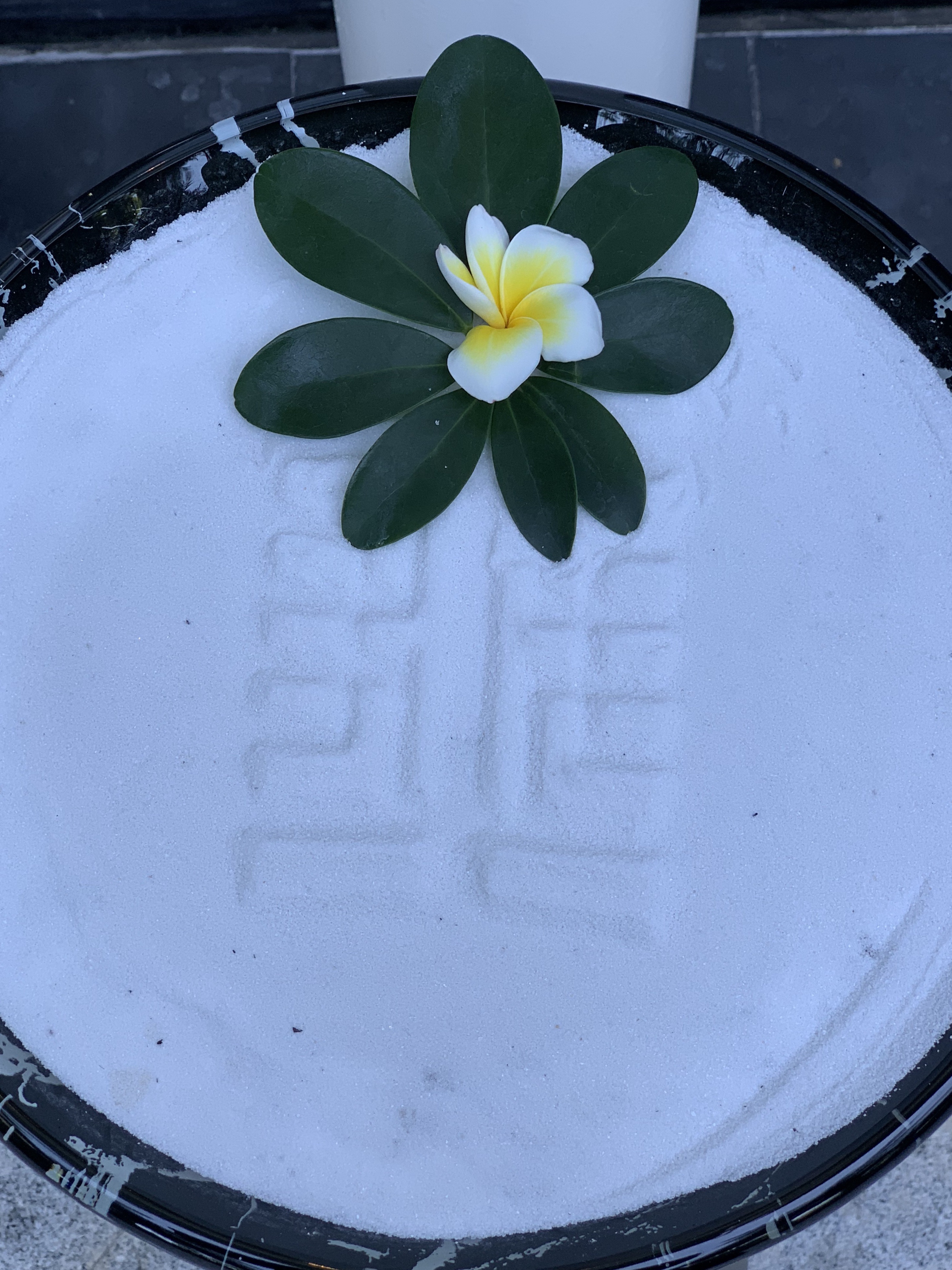 ///֮ڻʻعԢʽ׷