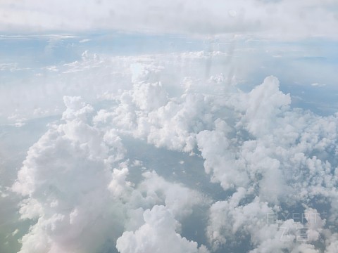 IMG20200730162609.jpg