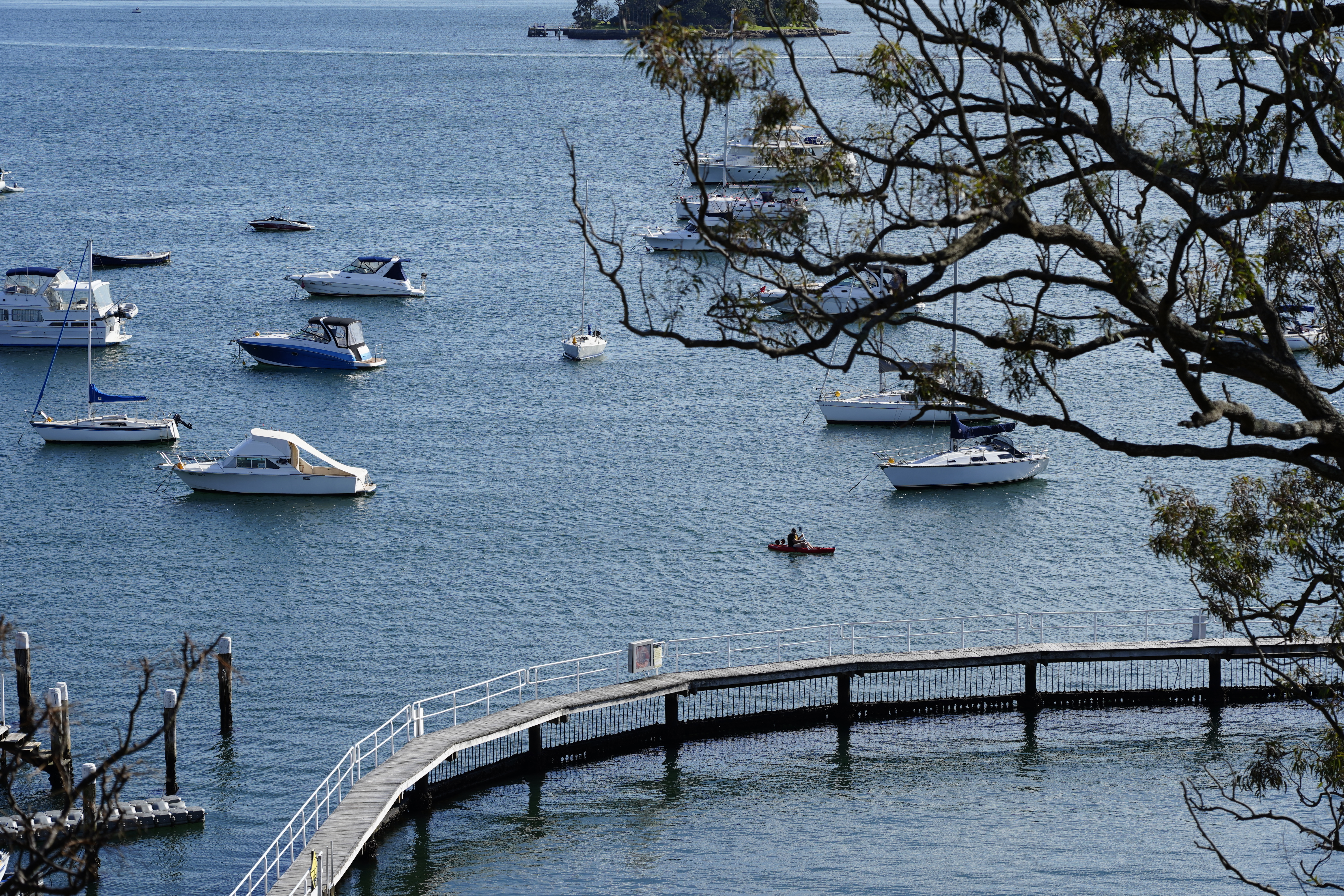 Ϥ˫޼ʡ˼һ InterContinental Sydney Double Bay