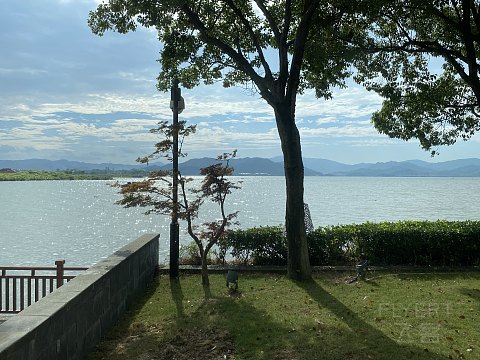 欢迎来到888｜宁波柏悦酒店总统套房