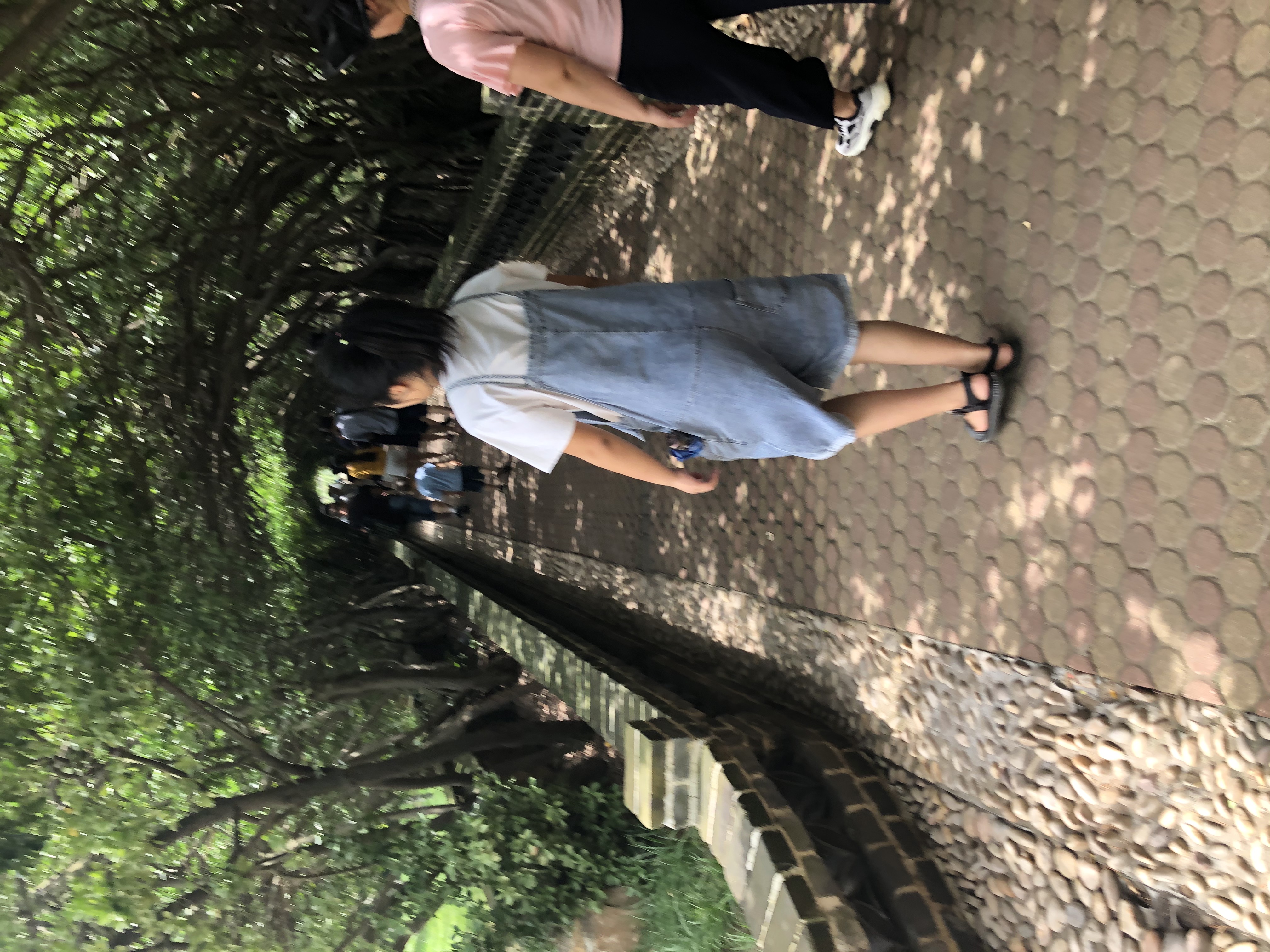 ˬ̨˵ǱѺ