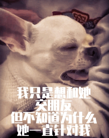ÿǩ