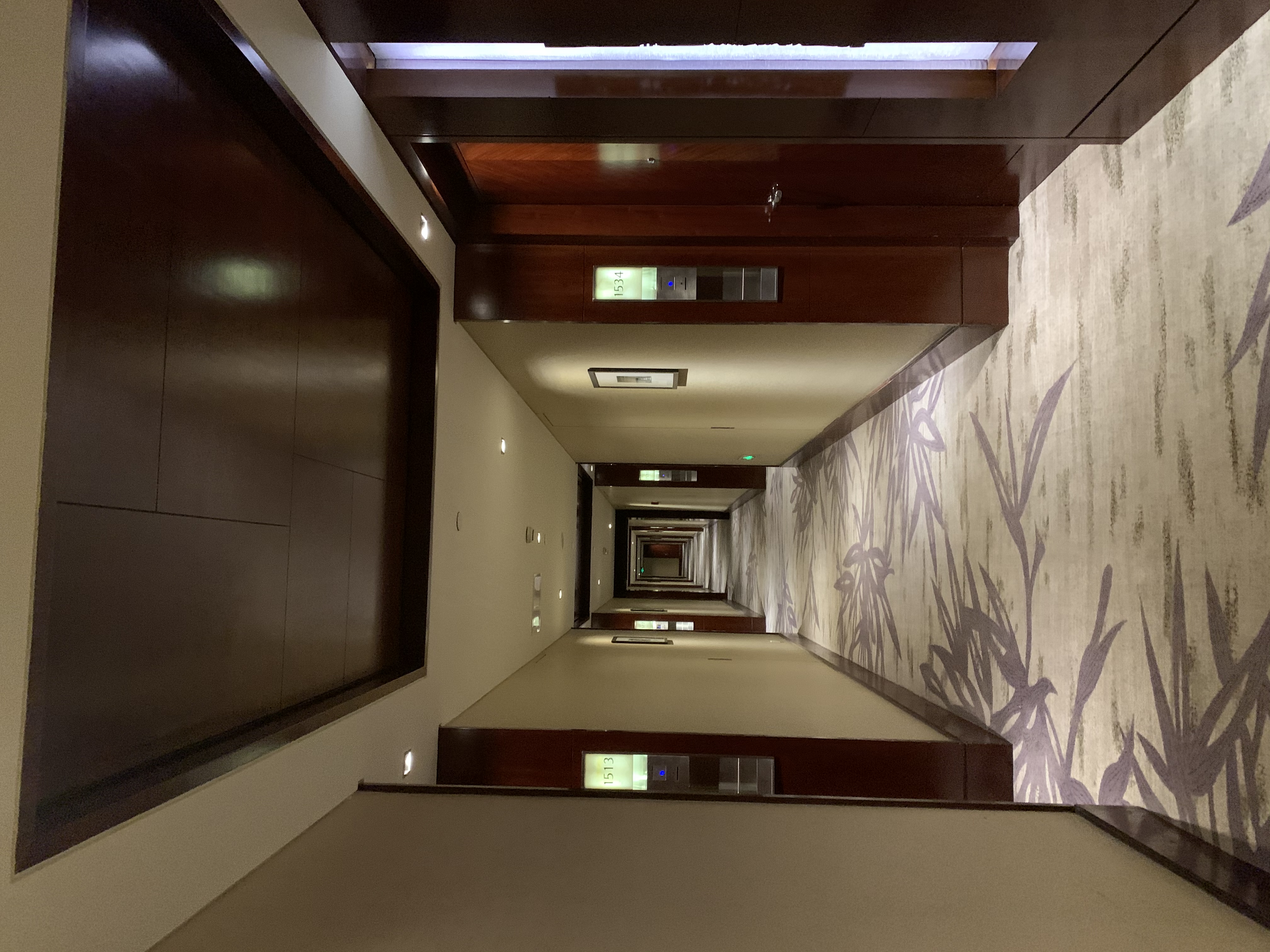 ͷƵ-regent bejing