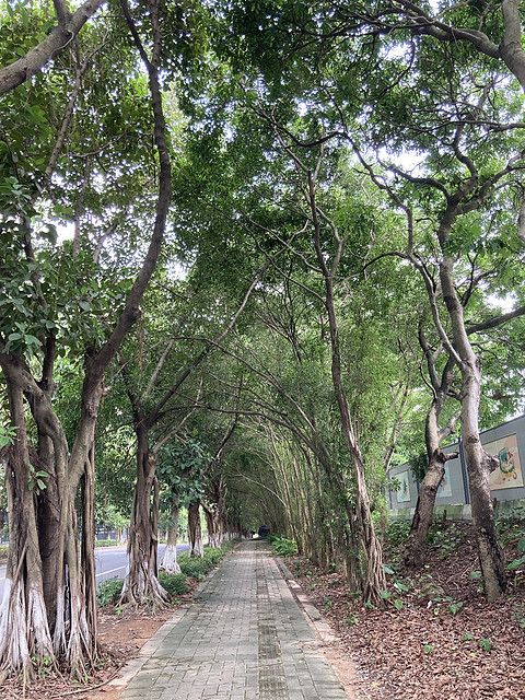 首住广州大学城雅乐轩酒店-比想象中满意的刷房之旅