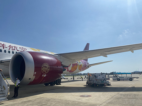 吉祥航空双卡双待2，上海-三亚篇