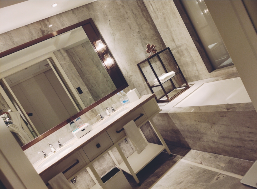 ݡ̫γ31Le Meridien