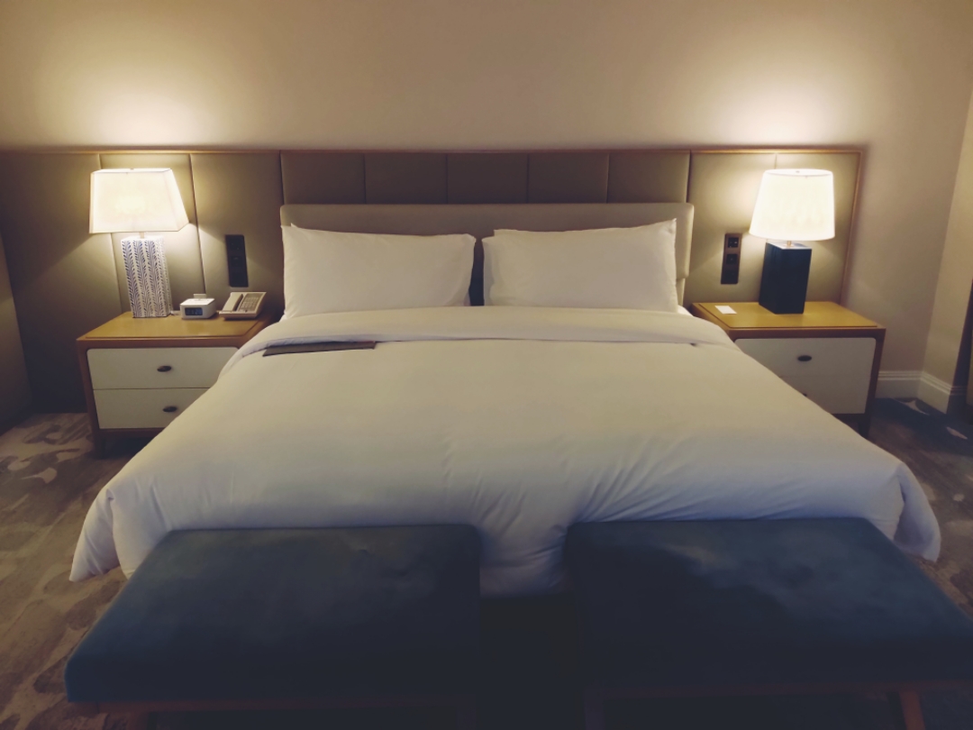ݡ̫γ31Le Meridien
