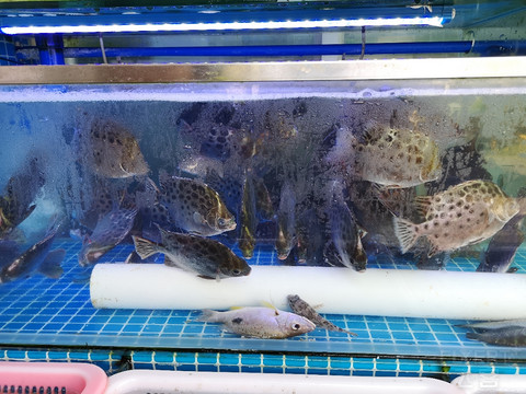 小众的罗莱夏朵旗下的珠海万山静云山庄！