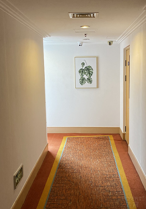 「天坛有至宝，颜老心厚道」北京中成天坛假日酒店