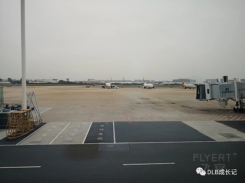 mmexport1599112145155.jpg