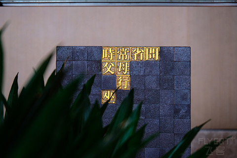 忘路之远近，忽逢桃花林@梅溪湖豪华精选