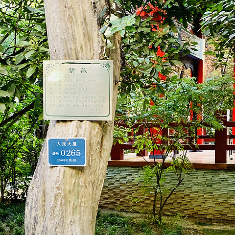 #丸子君陕西行# Day2西安索菲特传奇酒店总**享 游荡在多朝古都长安城