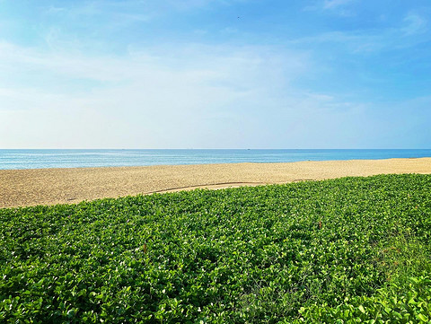 岛上生活：香水湾万豪顶楼套房～看海景还是很棒的