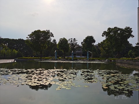 IMG_20200909_154609.jpg