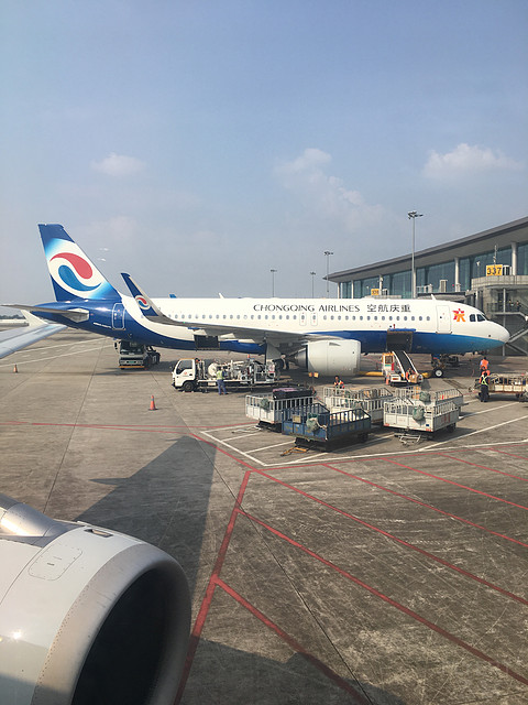 打卡又一航司，体验重庆航空的A319