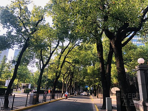 打卡江疏影同款，在上海瑞金洲际酒店欧式别墅建筑群内探秘！附四家酒店鲜肉月饼测评！