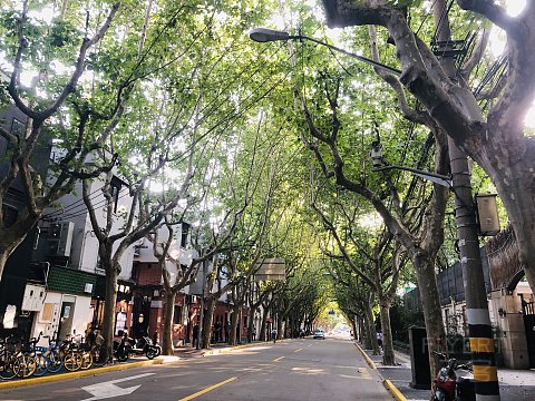打卡江疏影同款，在上海瑞金洲际酒店欧式别墅建筑群内探秘！附四家酒店鲜肉月饼测评！