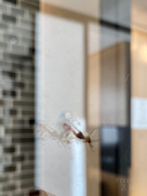 机缘巧合的保定万枫