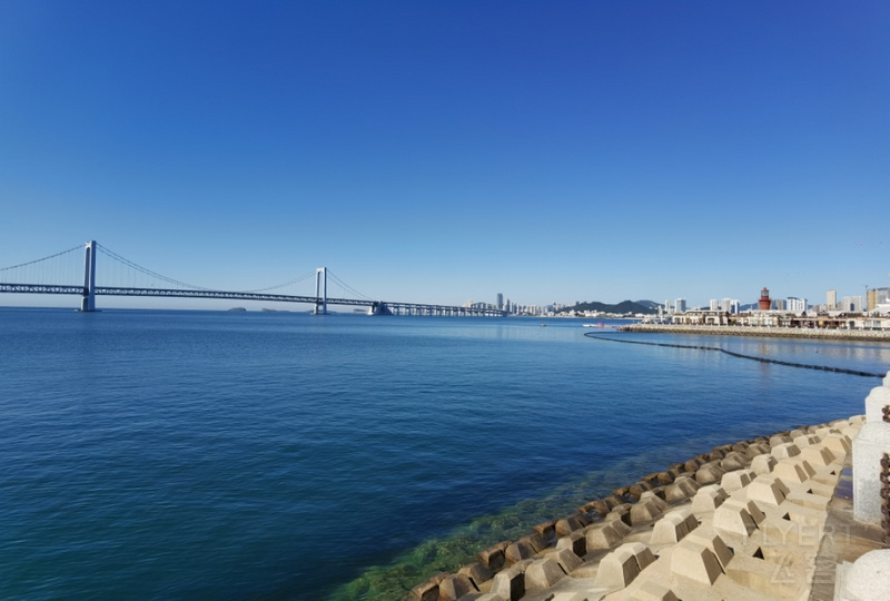 IMG_20200919_084955.jpg