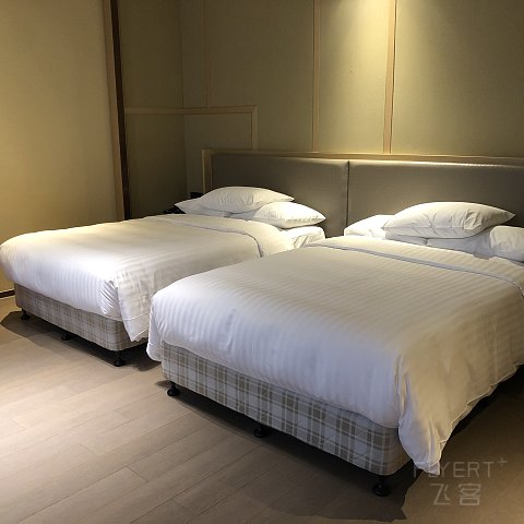 机场旁的双万怡体验-记【上海中建万怡】&【国际度假万怡】