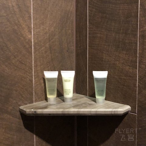 机场旁的双万怡体验-记【上海中建万怡】&【国际度假万怡】