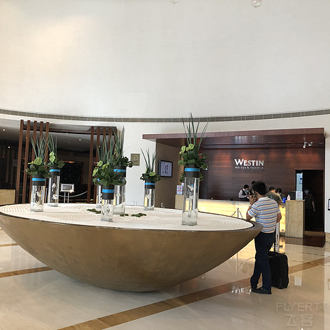 【白挑第二站】南岭以南，木棉花开——广州海航威斯汀活力套房入住报告#金秋畅游#