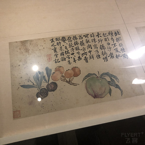 【白挑第二站】南岭以南，木棉花开——广州海航威斯汀活力套房入住报告#金秋畅游#