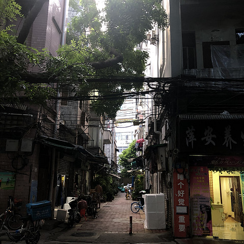 【白挑第二站】南岭以南，木棉花开——广州海航威斯汀活力套房入住报告#金秋畅游#